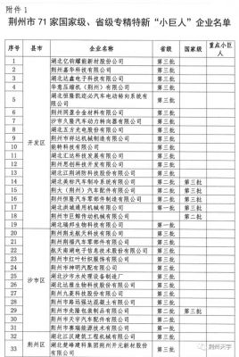 荆州天宇荣获第二批湖北省“专精特新”小巨人企业