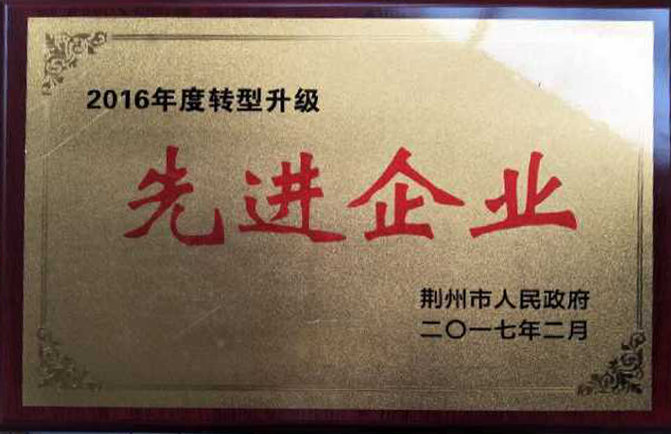 2016年度转型升级先进单位