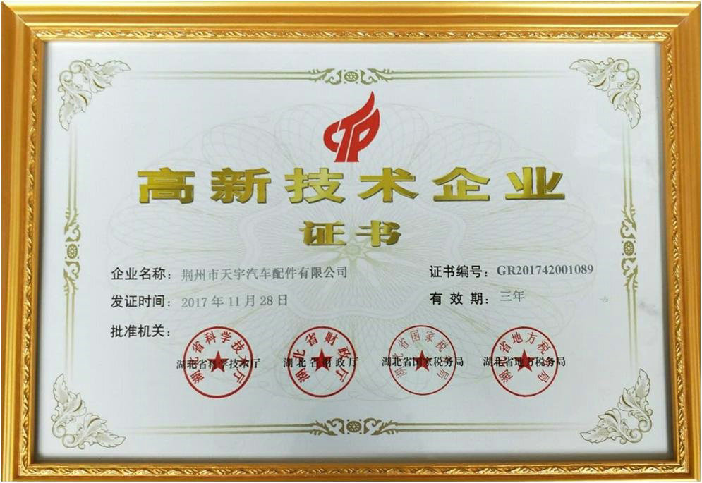 High and new technology enterprise certificate (Tianyu)